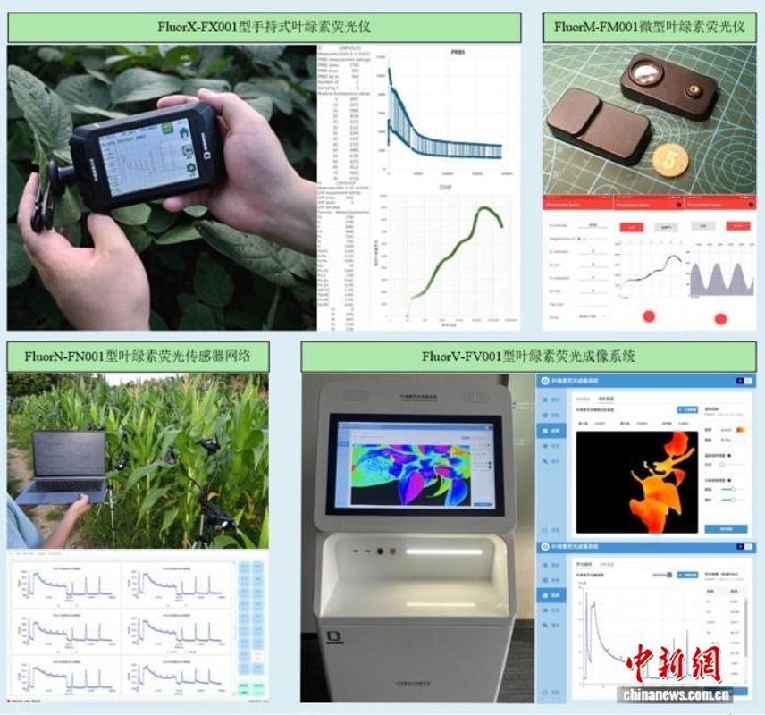 中国·云顶4008(集团)