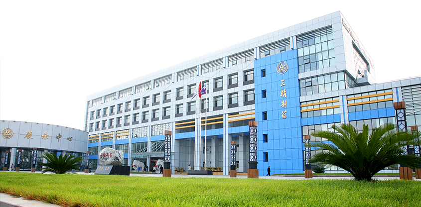 中国·云顶4008(集团)