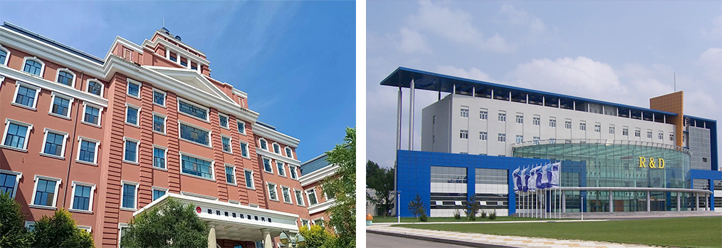 中国·云顶4008(集团)