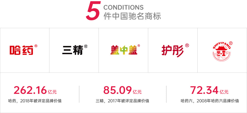 中国·云顶4008(集团)