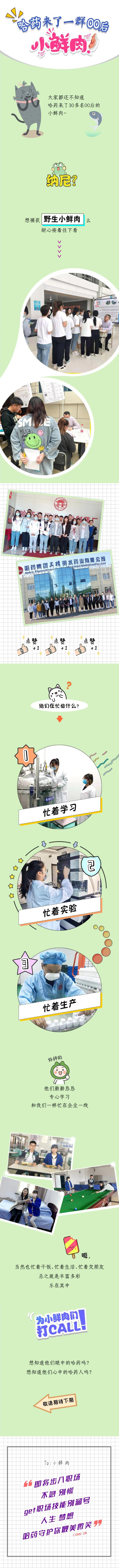 中国·云顶4008(集团)